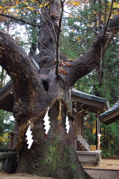 穂高神社