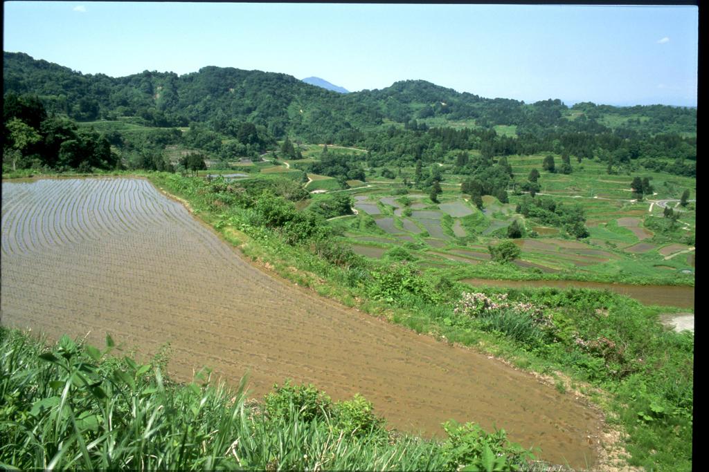 里山