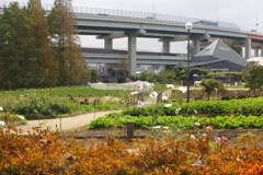 風景　２