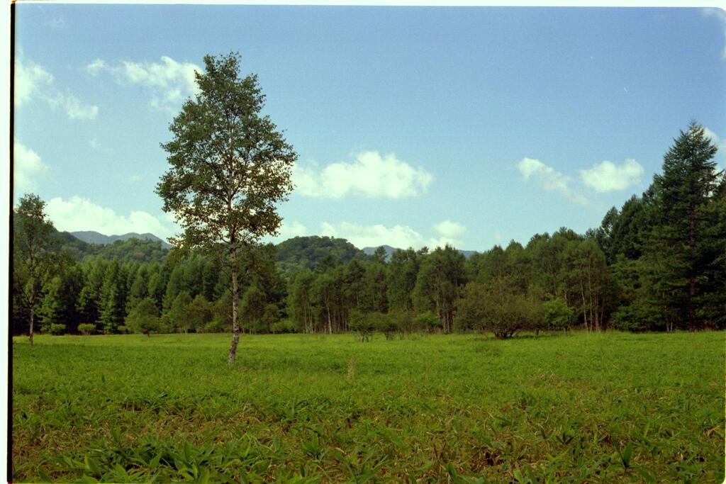 風景　２