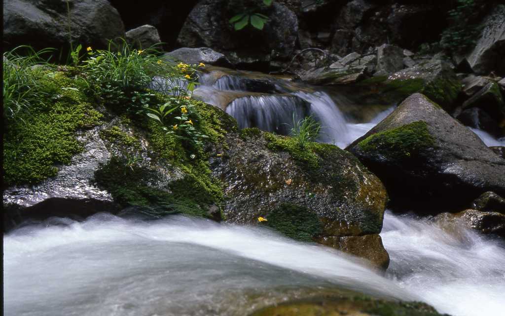 照葉峡