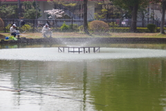 噴水と釣り人