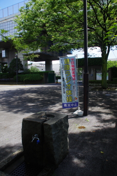 体操の場