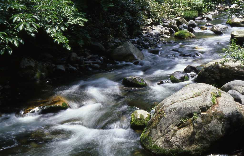 照葉峡　渓３