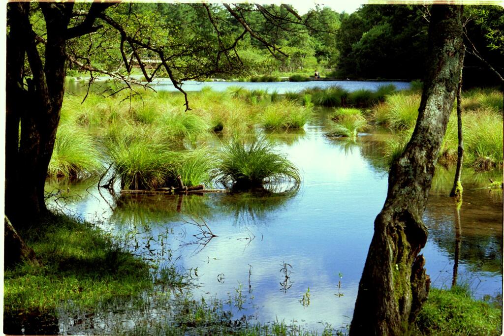 湯ノ湖の風景