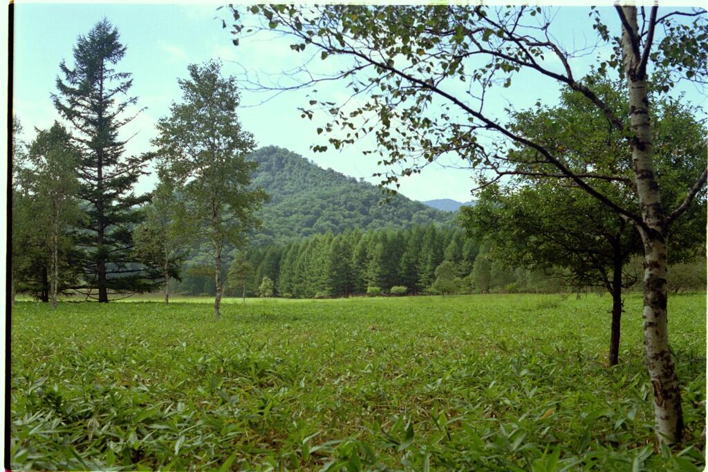 風景