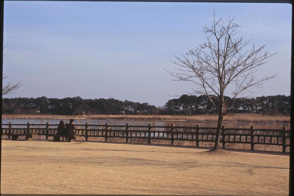 多々良湖　ながめる