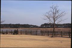 多々良湖　ながめる