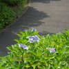 上からの目線で　２