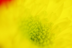 おもう