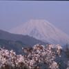 富士山と桜