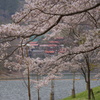 桜のある風景