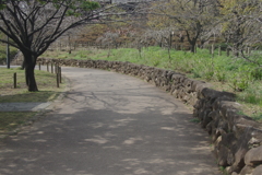 小路