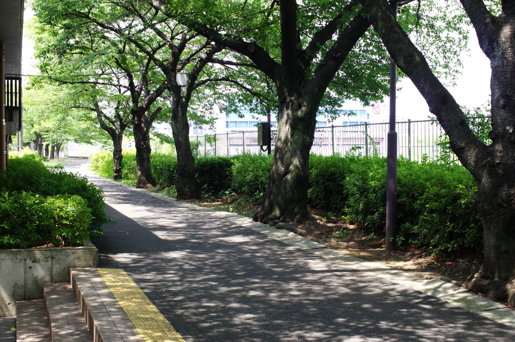 涼しさを求めて