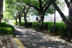 涼しさを求めて