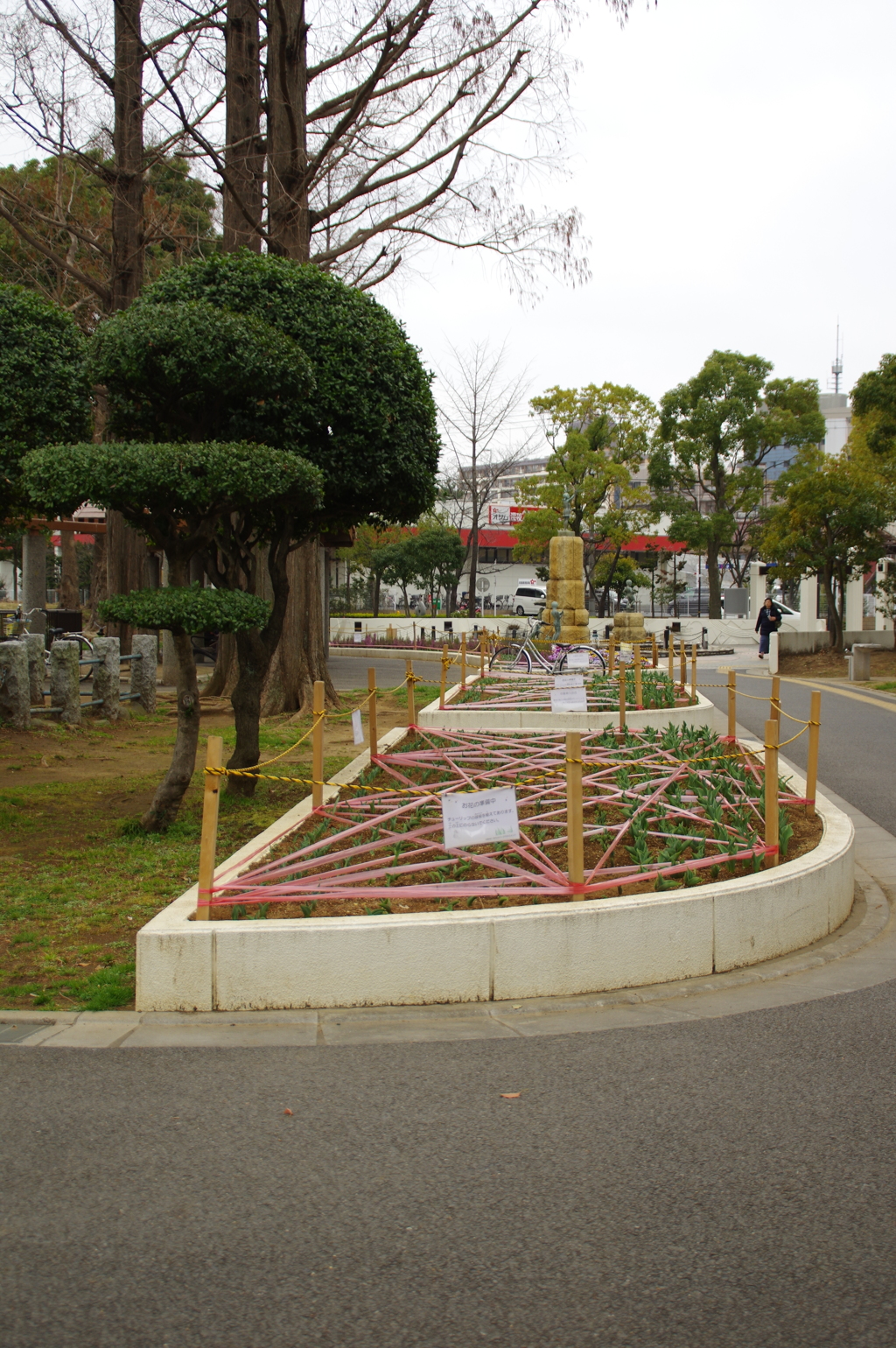 なにを植えるのかな？