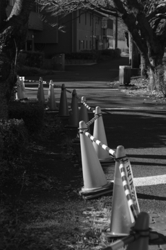 駐車場からの道