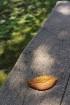 秋　１