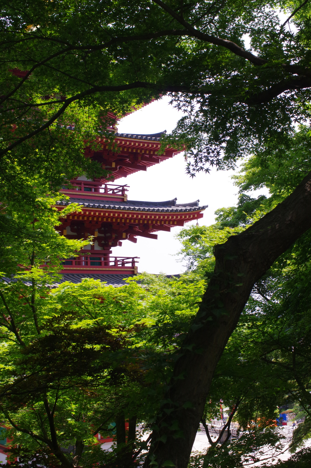 五重塔