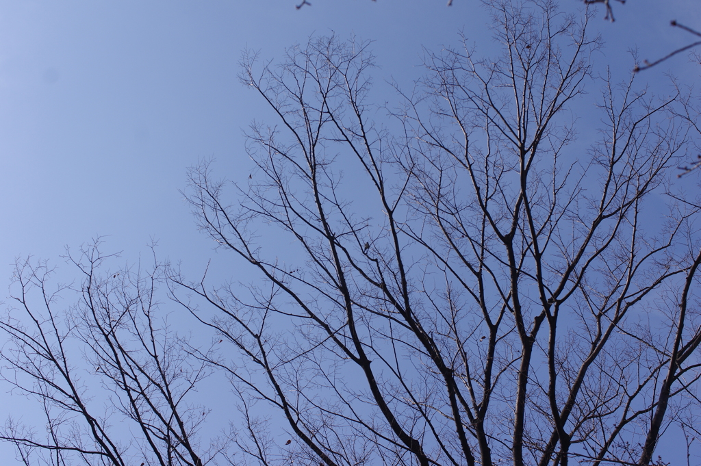春めいて