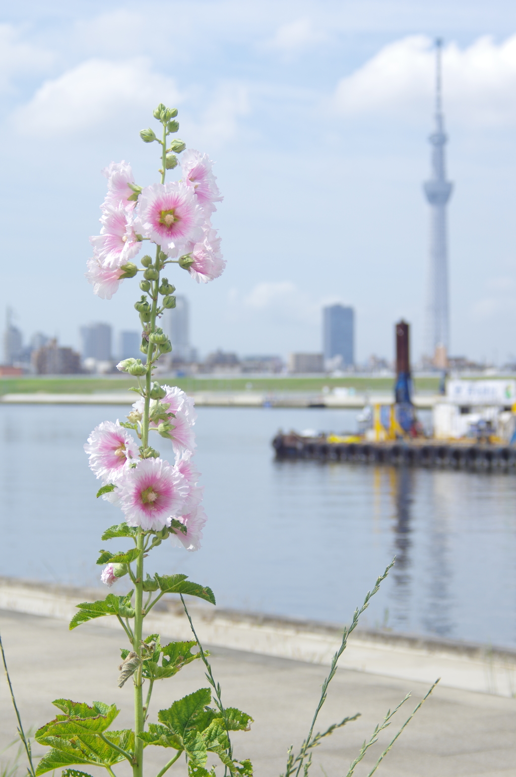 川のある風景