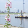 川のある風景