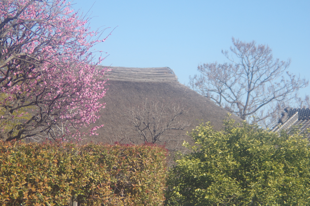 風景