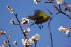 あっちに行こう