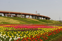 河川敷からの風景