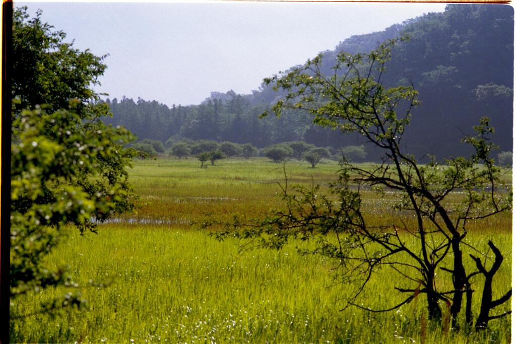 小田代ヶ原　３