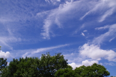 雲