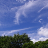 雲