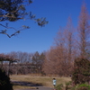 たたずむ