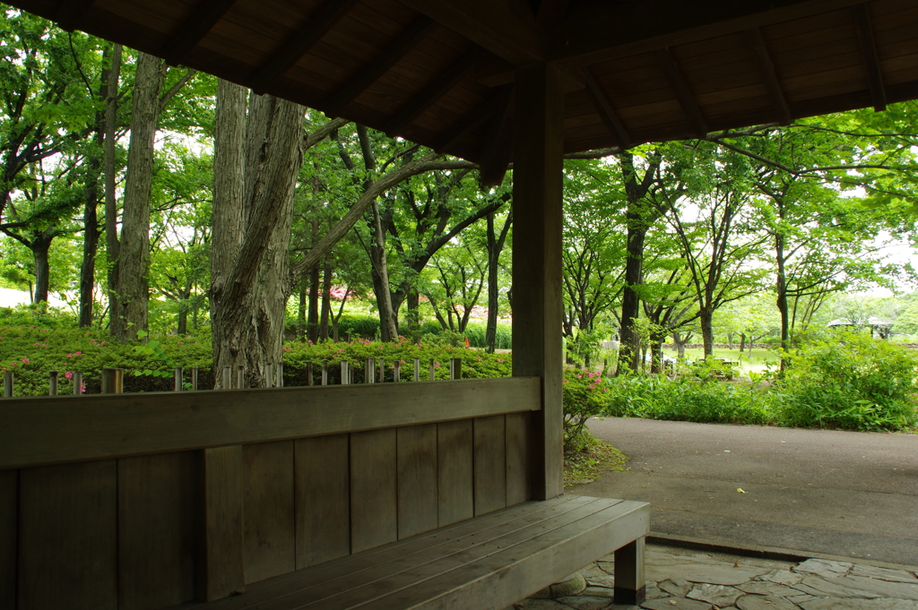 東屋からの眺め