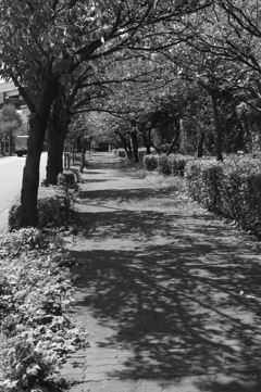 歩道