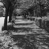 歩道