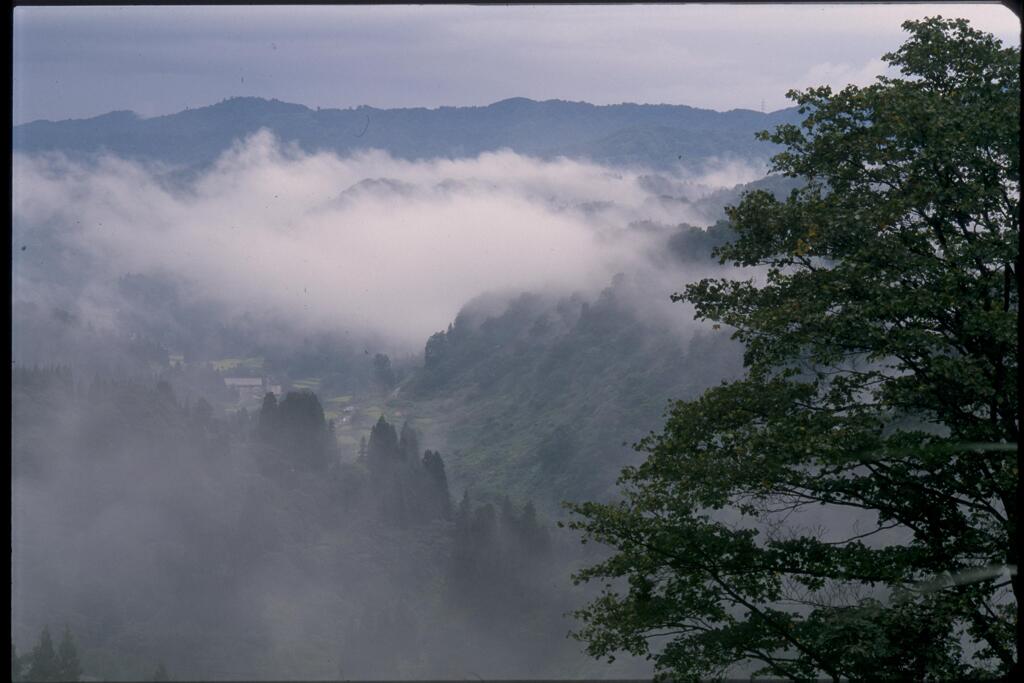 風景（2009年9月）