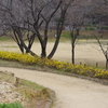 小道と広場