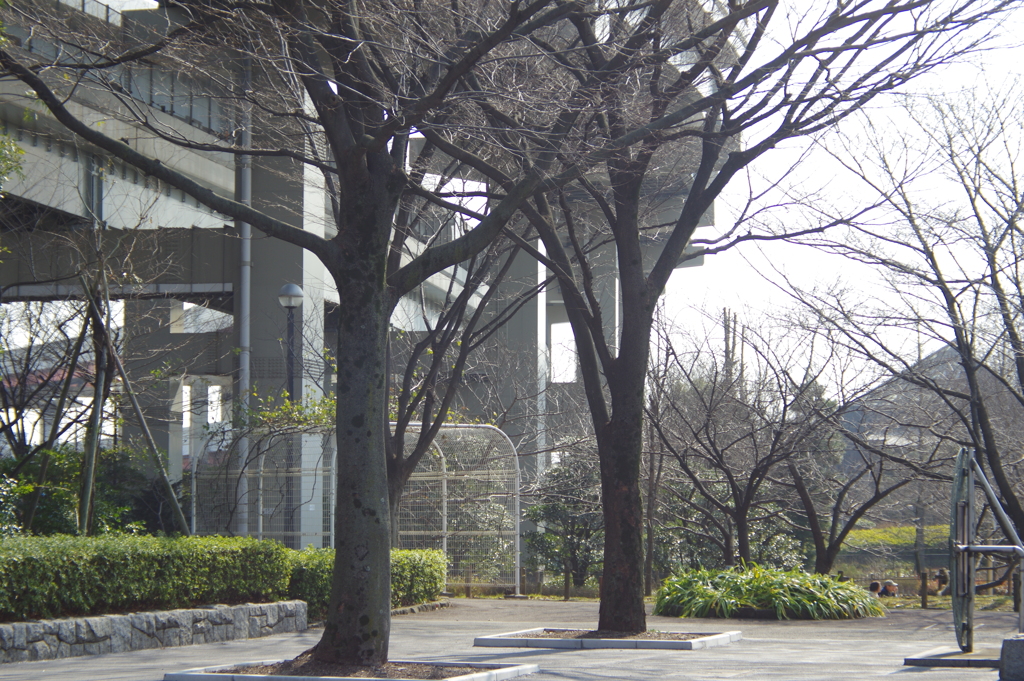 農業公園と首都高速道路