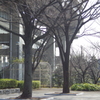 農業公園と首都高速道路