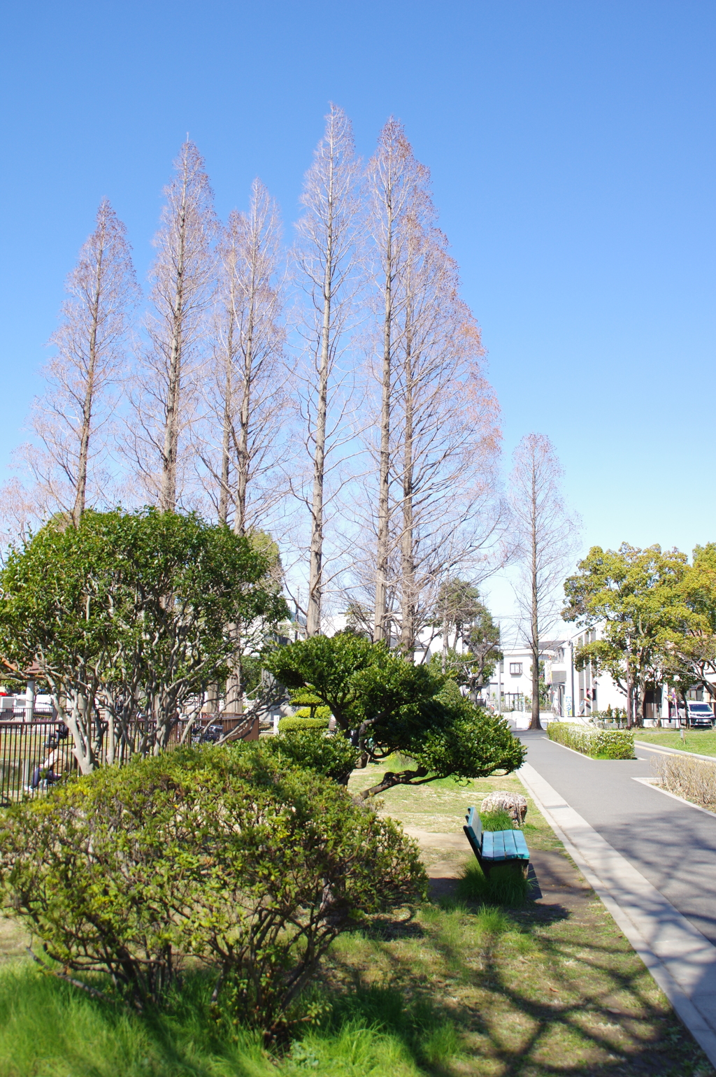 風景