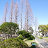 風景