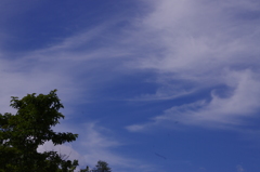 雲の動き