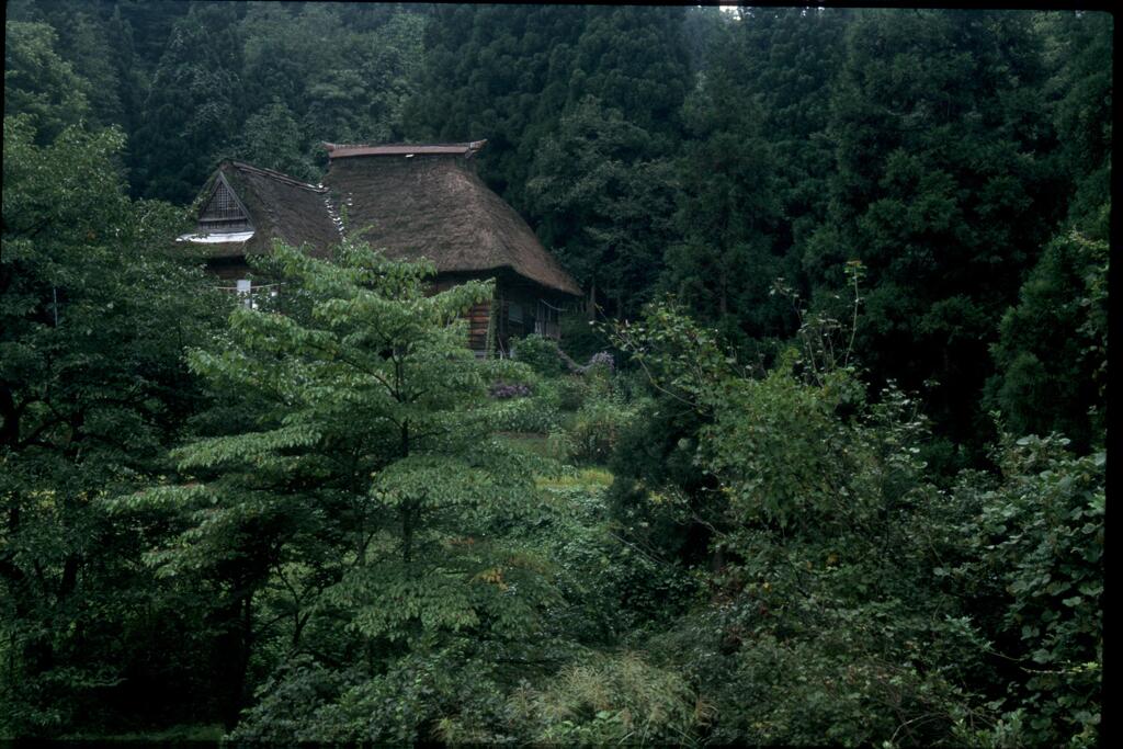 茅葺屋根（2002年9月）