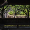 東屋からの眺め
