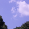 今日も晴れ（暑いよ）
