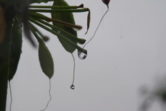 小雨