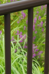 保護色がなくよ？