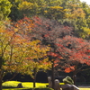 花壇広場の紅葉