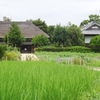 田んぼと古民家